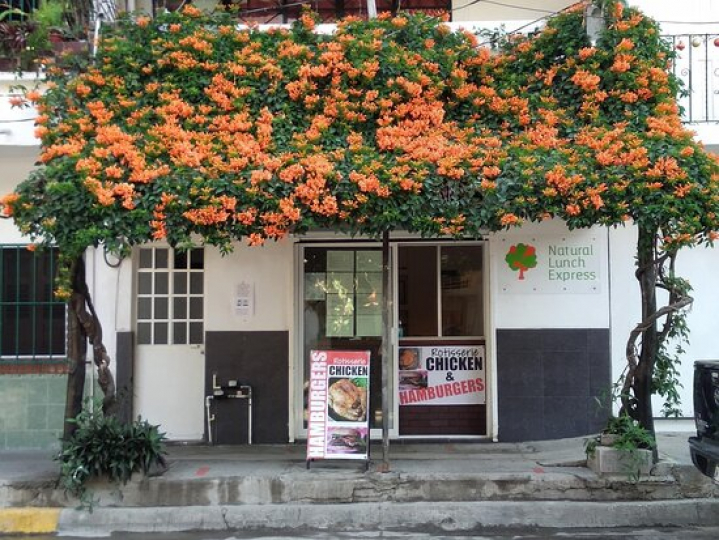 Natural Lunch Express, Puerto Vallarta